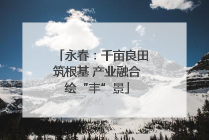 永春：千亩良田筑根基 产业融合绘“丰”景